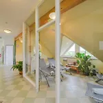 Hotel Markgraf 3*